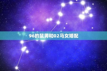 探索军中之马男命：洞悉命理与人生的深邃寓意