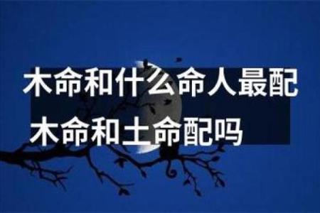 适合木命之人的名字选择，点亮人生的希望与成长
