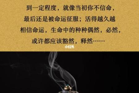 命里无得，何必强求？揭示人生的豁达与释然