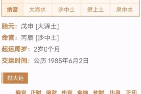 偏官正印命格揭秘:如何解读命理中的这对组合?