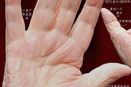 命里注定富足：探究那些不缺钱的命格特征
