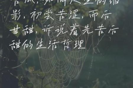 苦瓜命的人生哲学与命运解析:苦中作乐,智勇双全