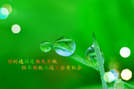 农历三月十六日出生的人命运解析与人生智慧