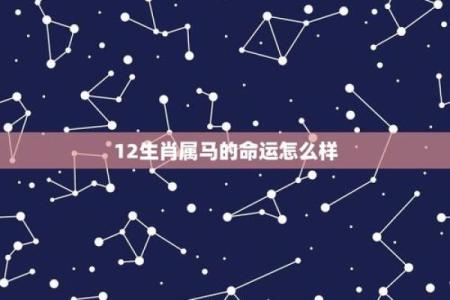 六十九岁属马女性命运解析:生活智慧与事业机遇的完美结合
