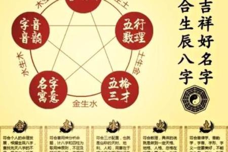 木命与土命的职业选择:适合的行业与发展方向