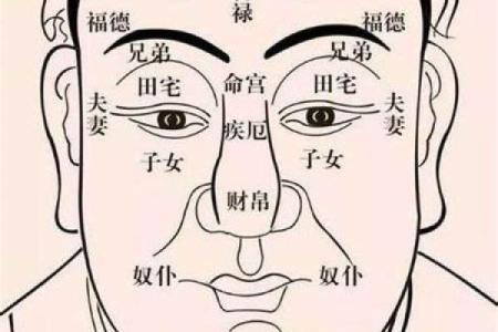 男命看儿子:如何解读命盘中的子女福禄