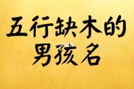 揭开命理的神秘面纱:名中带木字的人生意义探寻