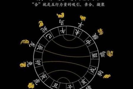 探秘1988年男生命运，揭示生肖、五行与人生的深刻联系