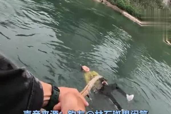 女儿的心声：你是我的命，父爱的珍贵诠释