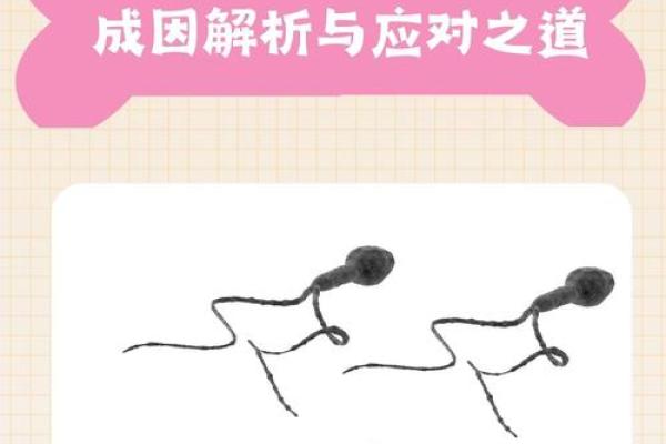 解析男命八字中子女的象征与蕴意，探寻命理背后的家庭幸福之道