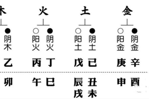 探秘马化腾的五行命格：解析其成功背后的元素之道