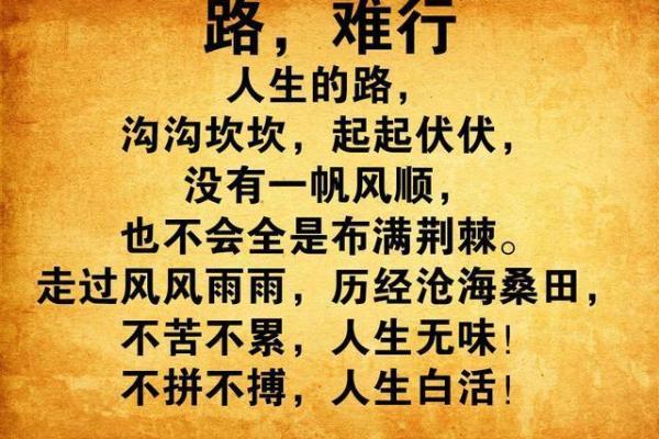 男命2两7的命运解析与人生之路