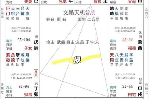 命盘解析：探索局限性与人生可能性的奥秘