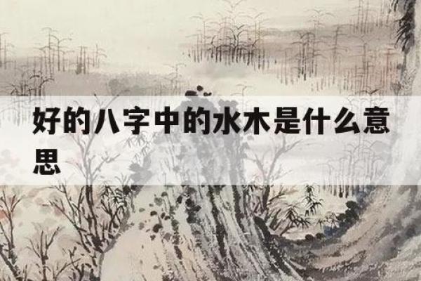 命理五行水木多的深意与生活指导