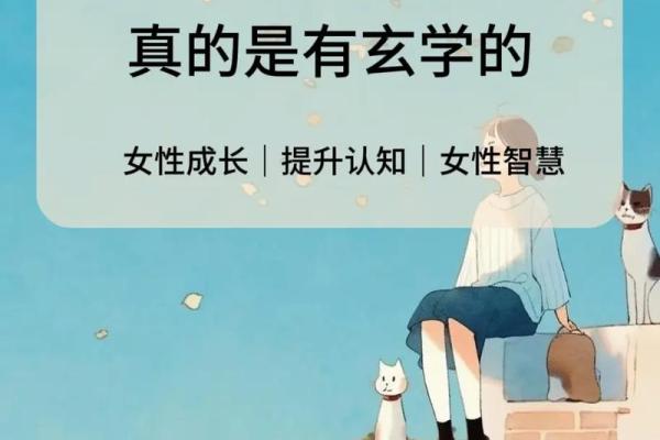 命理学视角下的运气：解码人生的机遇与挑战