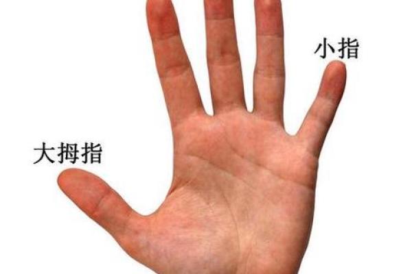 男人左右手假断掌的命运解析：揭示你不为人知的性格与运势