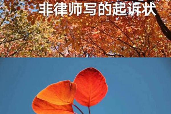 伤官见官的命理解析：揭示你的潜力与挑战