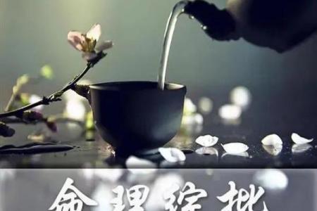 揭密天罗地网命格:命理中的神秘与启示