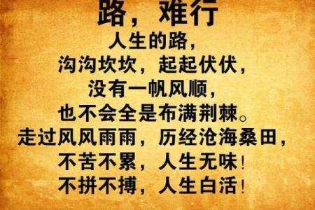 男命2两7的命运解析与人生之路