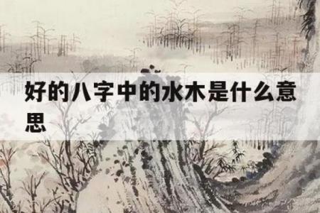 命理五行水木多的深意与生活指导