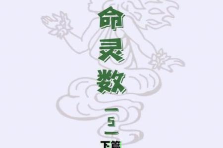 六甲命:探索命运的神秘密码与人生智慧