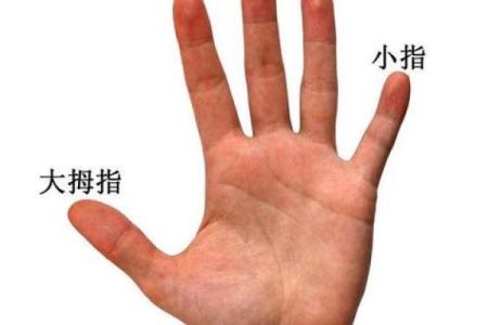 男人左右手假断掌的命运解析:揭示你不为人知的性格与运势