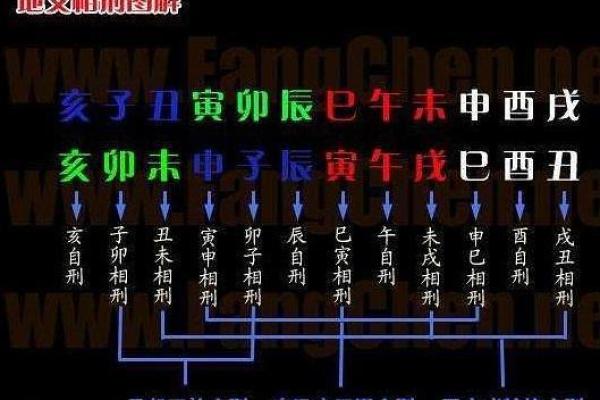 女命地支比肩的深层寓意与影响解析