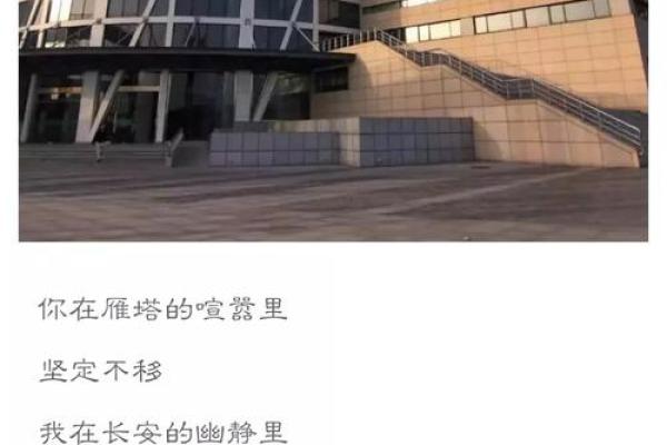 律师的命也是命，揭开背后不为人知的故事
