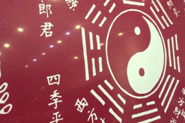 如何免费查自己五行命理，揭开命运的神秘面纱！