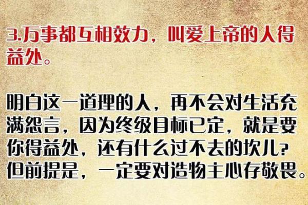 年命属木的吉数与生活中的智慧运用