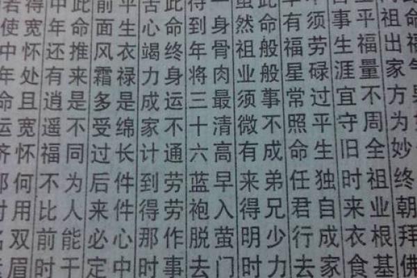 农历腊月十九出生的猪：命运与性格的深度解析