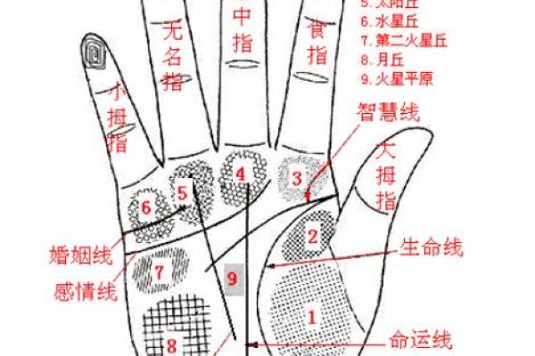萍字在男性名字中的命运解析：生命的流动与智慧的象征