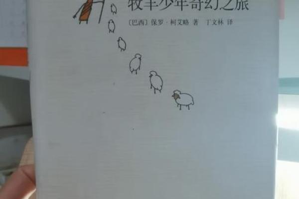 命里是什么就是什么，探索命运的奇妙之旅
