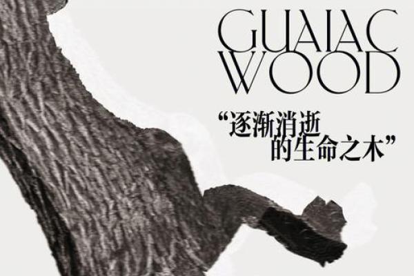 木命生孩子的命格解析：探索生命之树的奥秘