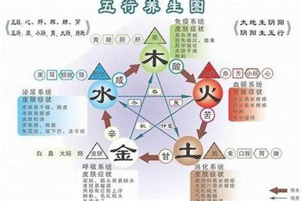 了解木命与土命：谁才是最佳命配？