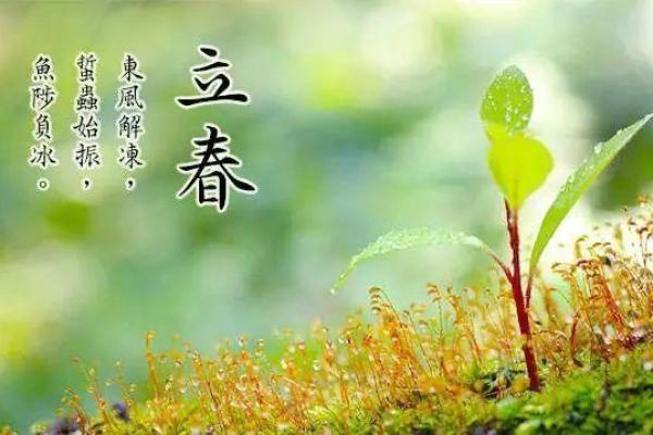 农历四月出生的人：生命的五行与春天的气息