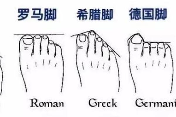 解密罗马脚男人的命运：从外形看内在潜力