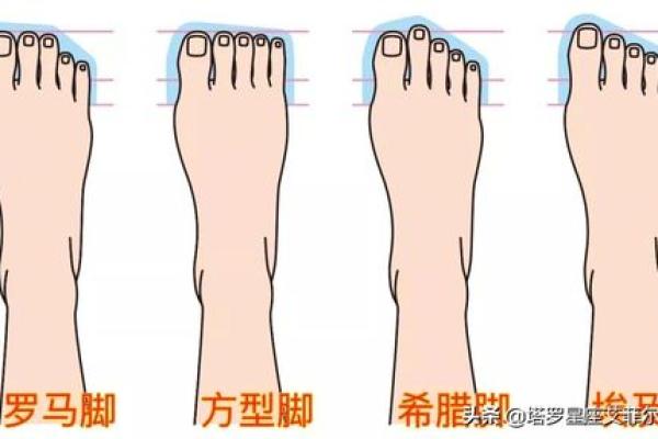 解密罗马脚男人的命运：从外形看内在潜力