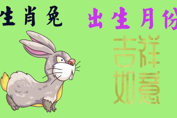六月出生的兔生肖，命运如何？揭示最佳命格！