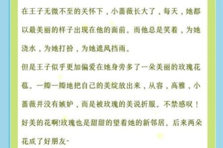 命里二朵花：探索命运与爱情的深刻寓意