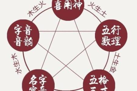 女木命与其他五行命理的完美配对探秘