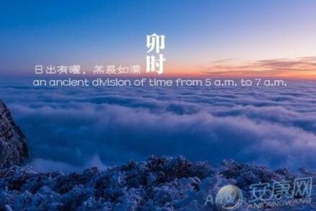 卯时牛兔的命理解析：草原上的情缘与命运之旅