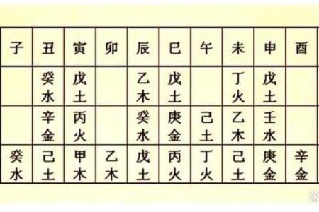 命理解析：日元弱极的深层含义与调理方法