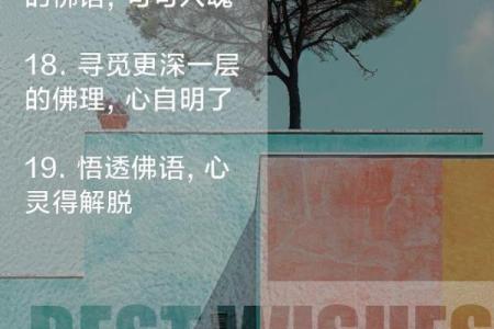 命好的男人，究竟意味着什么？揭示女性心声与追求的真谛