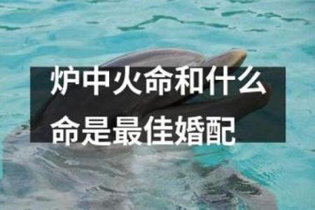 平地木命与火命的完美结合:相生相克的智慧与和谐