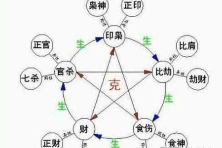 妻子属木,五行归属与命理解析