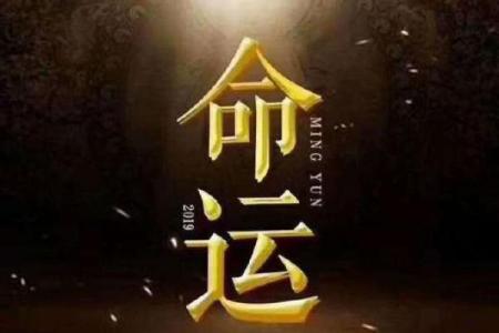 六七年出生的人命运解析:命中注定的生活之旅