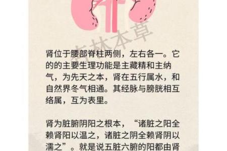 命理中的阴阳之道：体阳而用阴的深刻含义