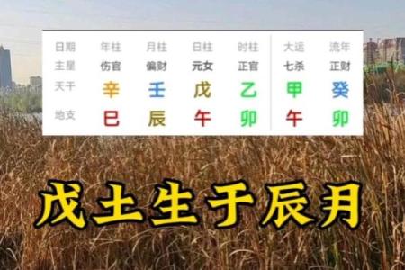 命理解析：未月戊土用神的智慧与运势