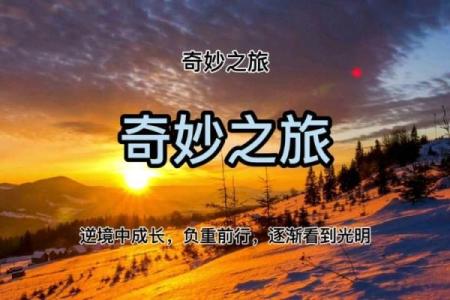 命里是什么就是什么，探索命运的奇妙之旅
